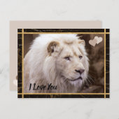 I Love You White Lion Photo Postcard (Front/Back)