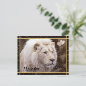 I Love You White Lion Photo Postcard (Standing Front)