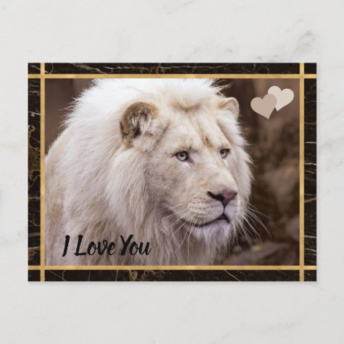 I Love You White Lion Photo Postcard