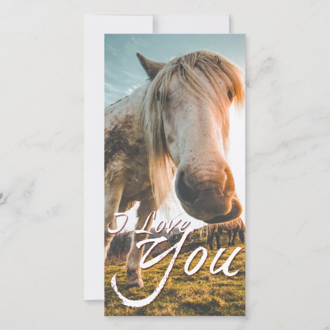 I love you with looking Horse (Front)
