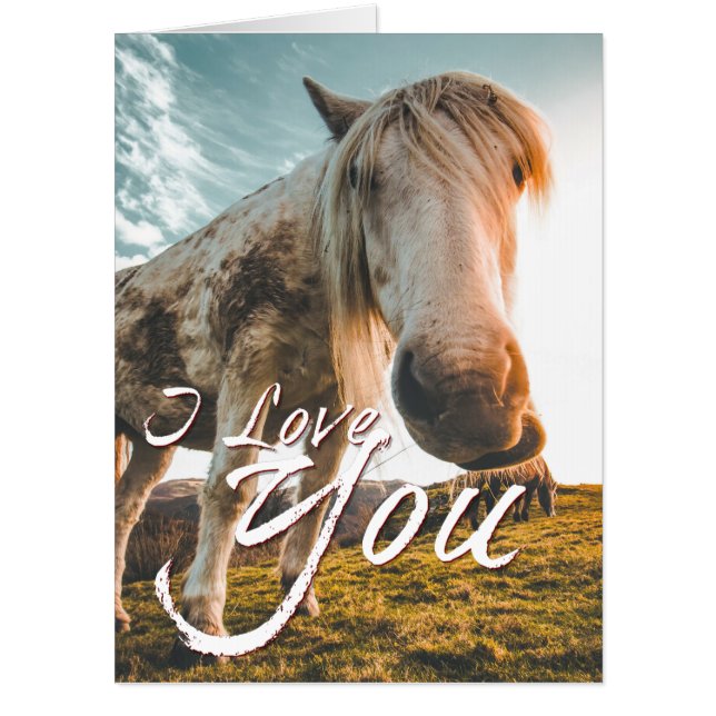 I love you with looking Horse Card (Front)