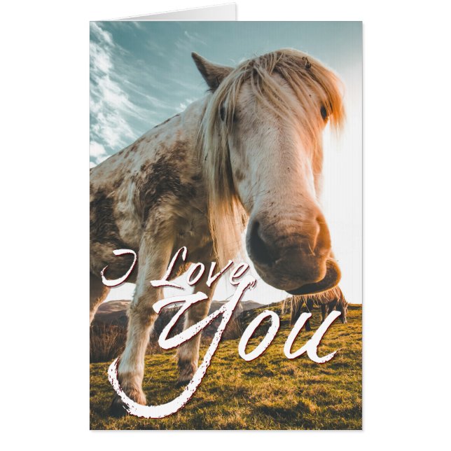 I love you with looking Horse Card (Front)