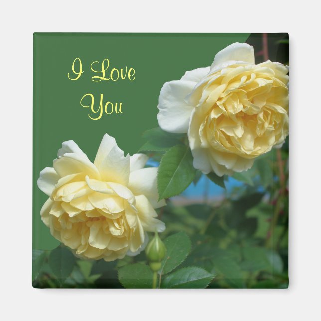 I Love You Yellow Roses Flower Photo Magnet (Front)