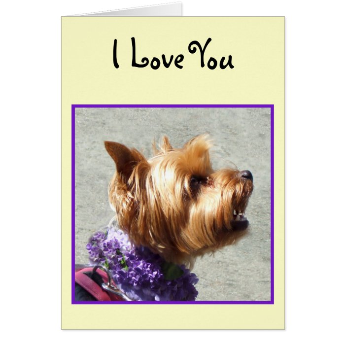 I Love You Yorkshire Terrier Greeting card