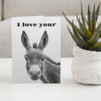 I Love Your Donkey Funny 