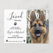 I Loved Her First - Elegant Modern Dog Wedding Announcement Postcard (Front)