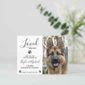 I Loved Her First - Elegant Modern Dog Wedding Announcement Postcard (Standing Front)