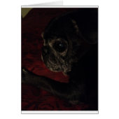 I Lubs You Cards (Front)