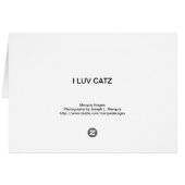I LUV CATZ CARDS (Back Horizontal)