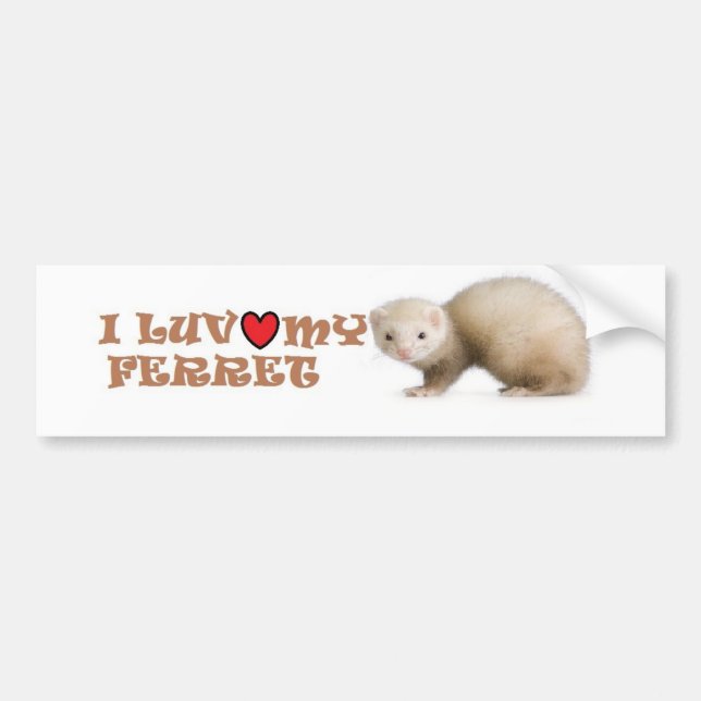 I Luv My Ferret Bumper Sticker (Front)