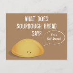 I’m a Self-Starter Sourdough Bread Brown White Postcard