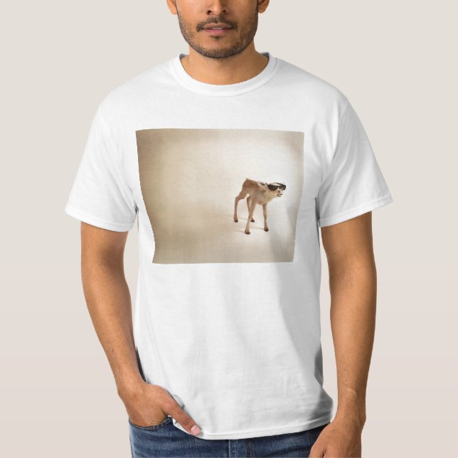 I´m better looking than you. T-Shirt (Front)