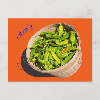 I´m hot !! postcard