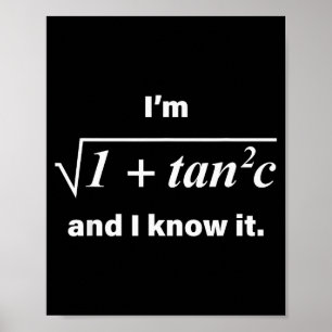 I’m Sec C And I Know It Funny Math Pun Math Lover Poster