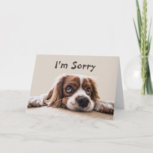 Im Sorry Please Forgive Me Card