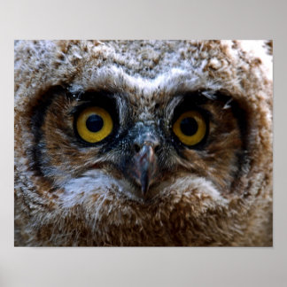 I"m Watching You Poster