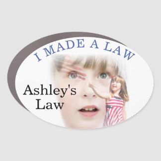 I made a law! car magnet