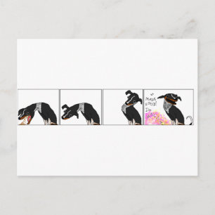 "I made food" Postcard