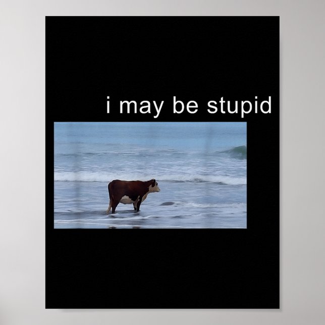 I May Be Stud Cow Meme I May Be Stud Funny  Poster (Front)