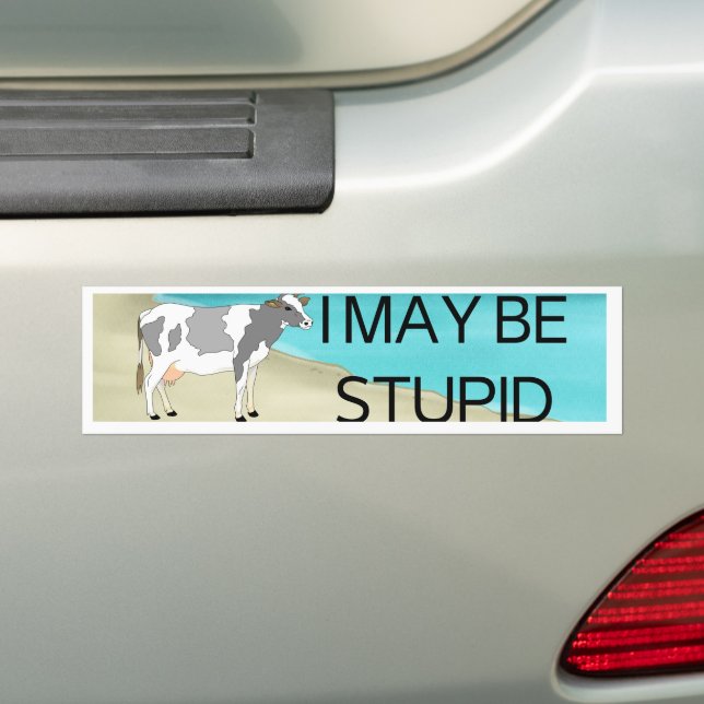 I May Be Stupid | Bumper Sticker | Meme Sticker |  (On Car)