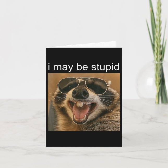 I May Be Stupid Funny Raccoon Dank Meme Gen-z Humo Card (Front)