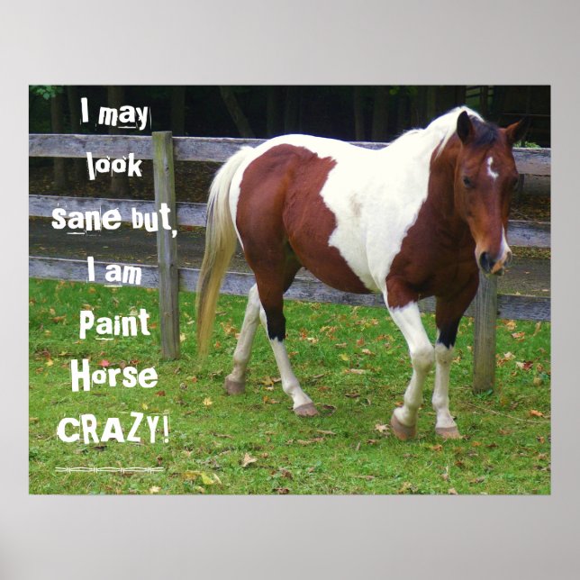 I may look sane but, I am paint horse carzy! Poster (Front)