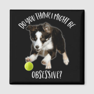 are border collies obsessive