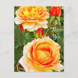 I Miss You/Any Occasions_ Postcard