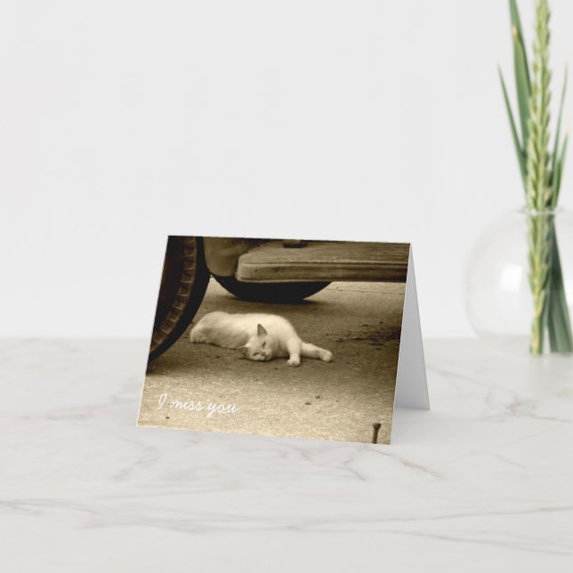 I Miss You Card - Lonely Cat (Front)