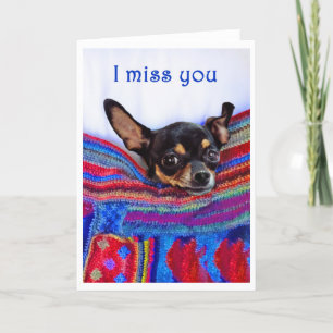 I miss you,Chihuahua dog, humor, Card