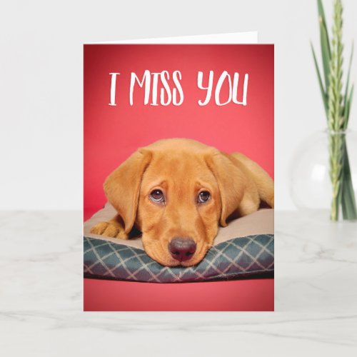 I Miss You Cute Labrador Puppy Dog With Sad Eyes Holiday Card