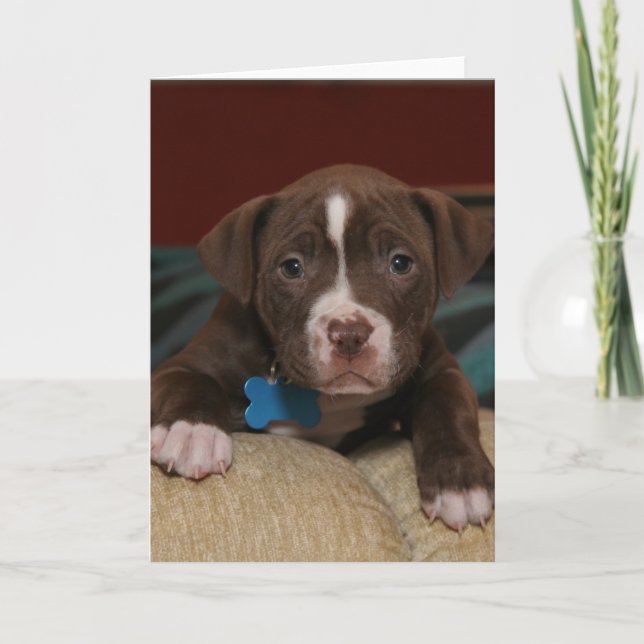 I Miss You - Cute Pit Puppy Holiday Card (Front)