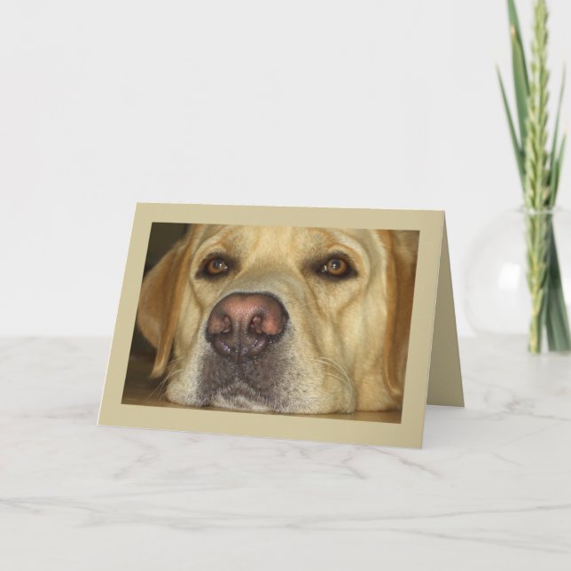 I miss you - Cute Yellow Labrador Card (Front)