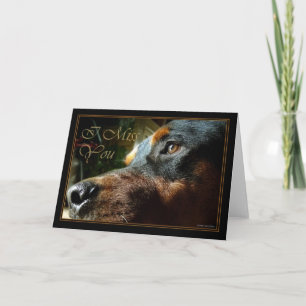 I miss you dog looking soo cute and sad card