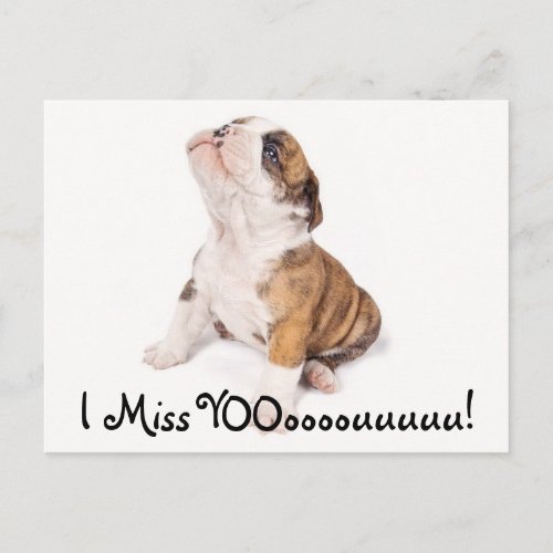 I Miss You English Bulldog Post Card