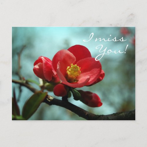 I miss you Flower Postcard