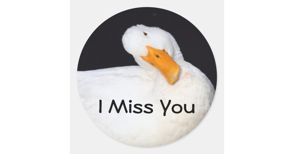 I Miss You, funny duck stickers | Zazzle