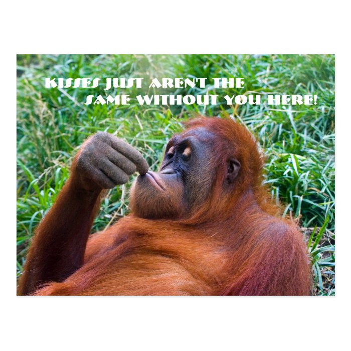 I Miss You Funny Orangutan Postcard