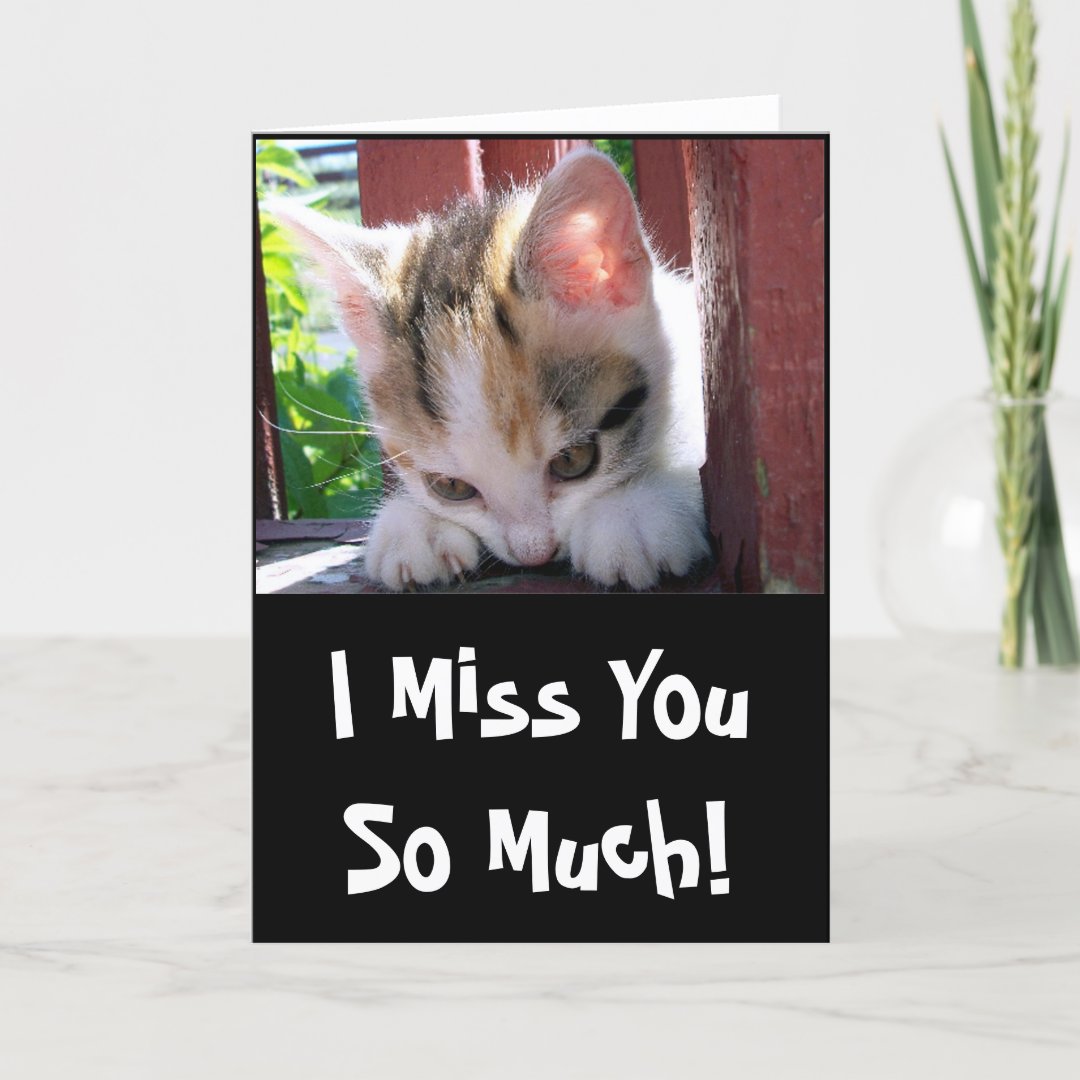 I Miss You Greeting Card Zazzle