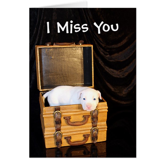 I Miss You Greeting Cards