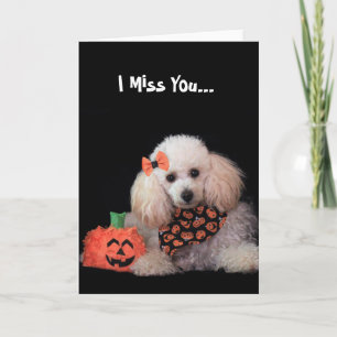 I Miss You Halloween poodle dog card