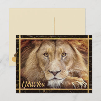 I Miss You Lion Photo Image Postcard