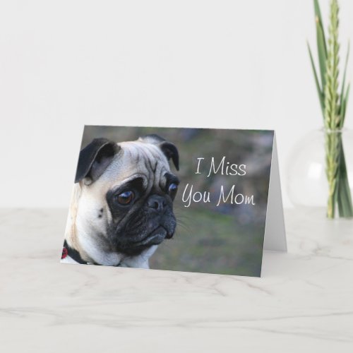 I Miss you mom pug greeting card