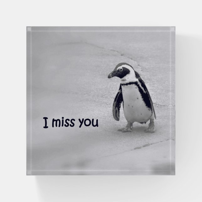 I Miss You Paperweight (Front)