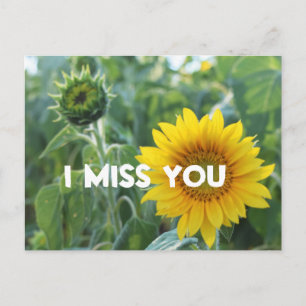 I Miss You Photo Yellow Sunflower Bud Custom Text Postcard
