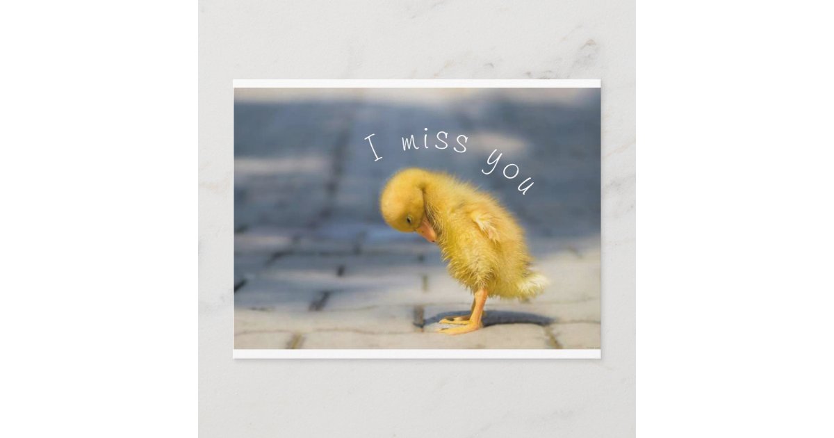 I Miss You Post Card | Zazzle