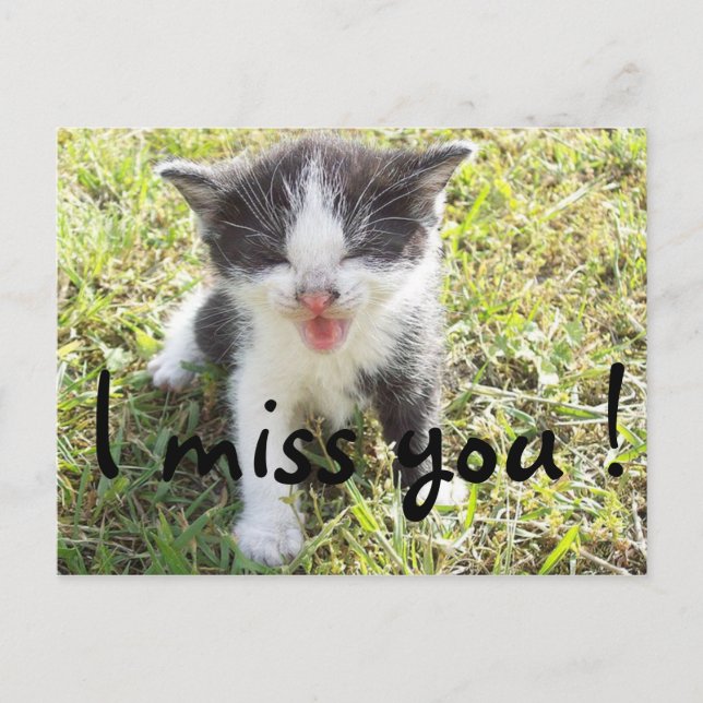 I miss you postcard (Front)