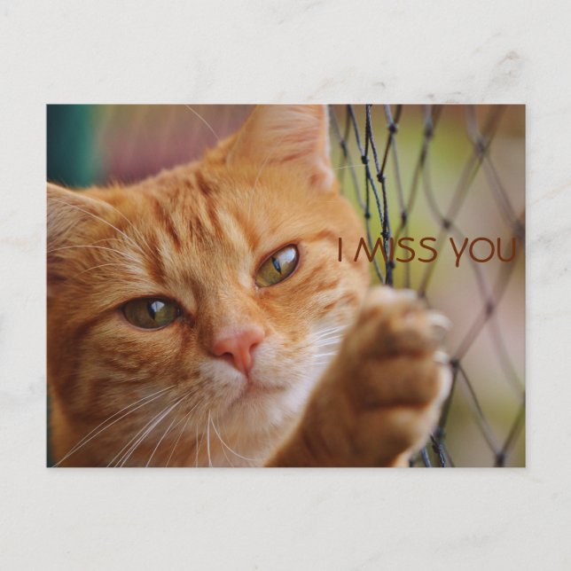 I MISS YOU POSTCARD (Front)