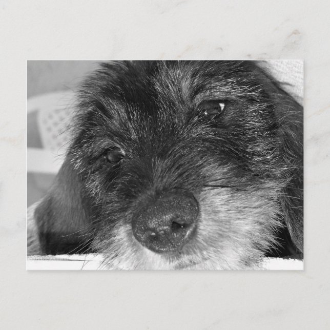 I miss you postcard (Front)