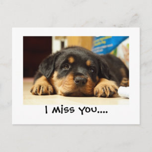 I miss you pubby postcard